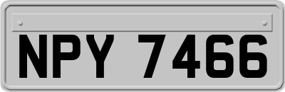 NPY7466