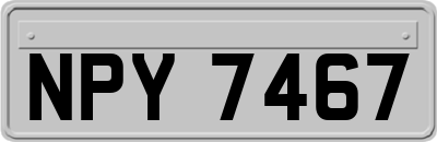 NPY7467