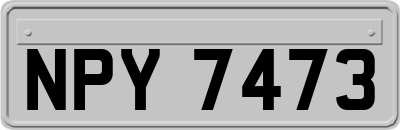NPY7473