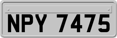 NPY7475
