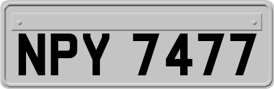 NPY7477