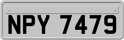 NPY7479