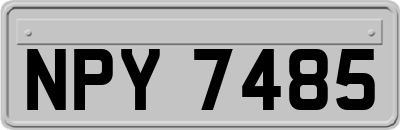NPY7485