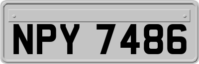 NPY7486