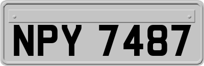NPY7487
