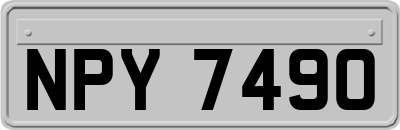 NPY7490