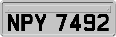 NPY7492