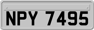 NPY7495