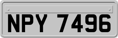 NPY7496