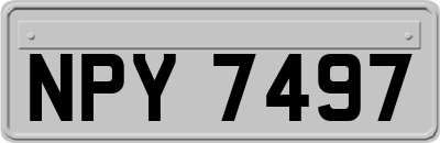 NPY7497