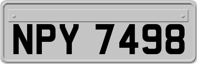 NPY7498