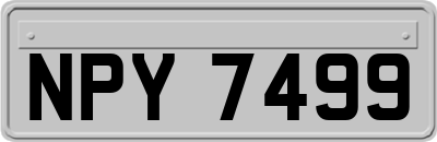 NPY7499