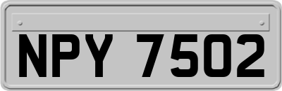 NPY7502