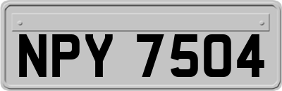 NPY7504