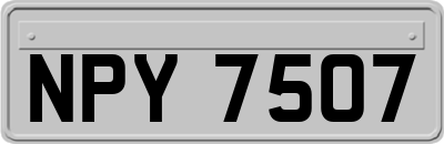NPY7507