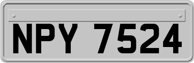 NPY7524