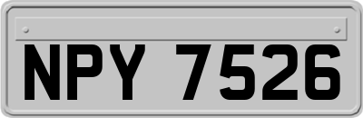 NPY7526