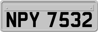 NPY7532
