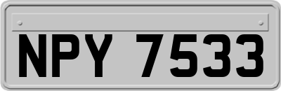 NPY7533