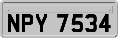 NPY7534