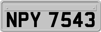 NPY7543