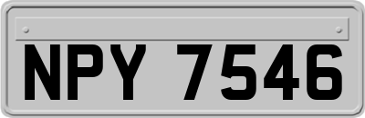 NPY7546