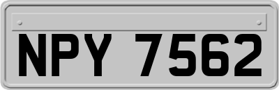 NPY7562