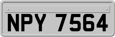 NPY7564