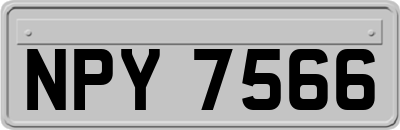 NPY7566