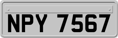 NPY7567