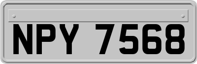 NPY7568