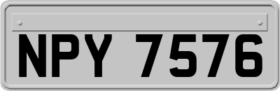 NPY7576
