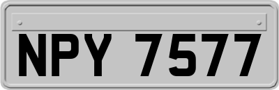 NPY7577