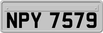 NPY7579