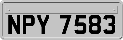 NPY7583