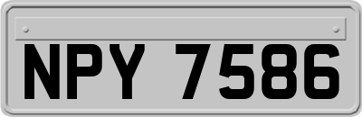 NPY7586