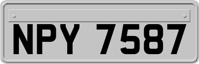 NPY7587