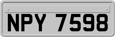 NPY7598