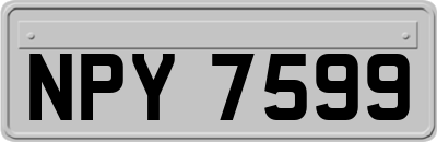NPY7599
