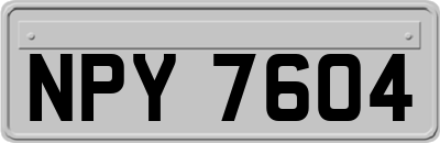 NPY7604