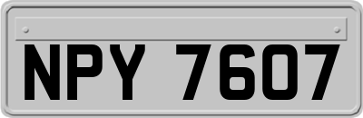 NPY7607