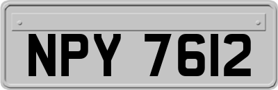 NPY7612