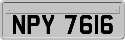NPY7616