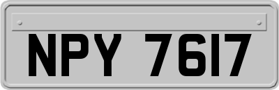 NPY7617