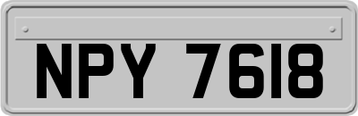 NPY7618