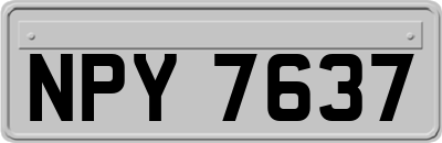 NPY7637