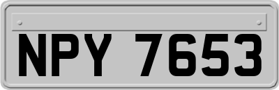NPY7653