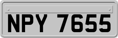 NPY7655