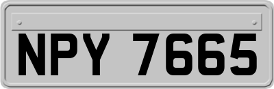 NPY7665