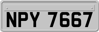 NPY7667